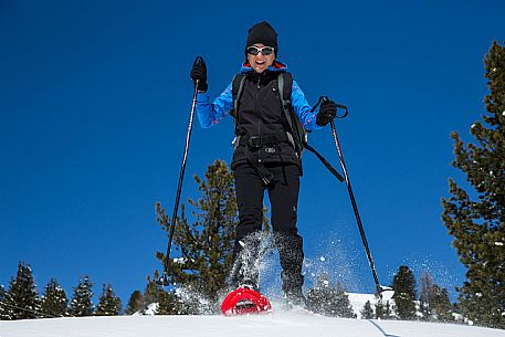 Snowshoenig in FVG