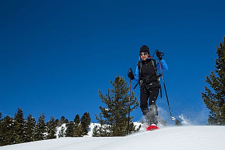 Snowshoenig in FVG