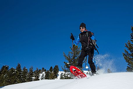 Snowshoenig in FVG