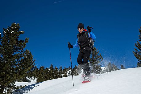 Snowshoenig in FVG