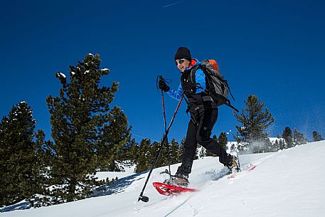 Snowshoenig in FVG