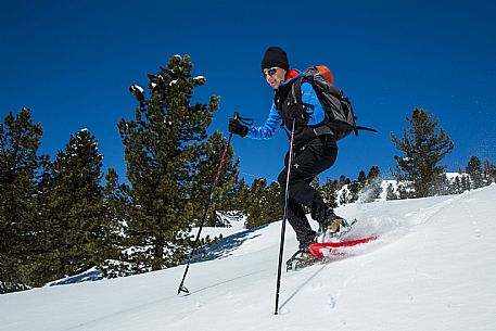 Snowshoenig in FVG