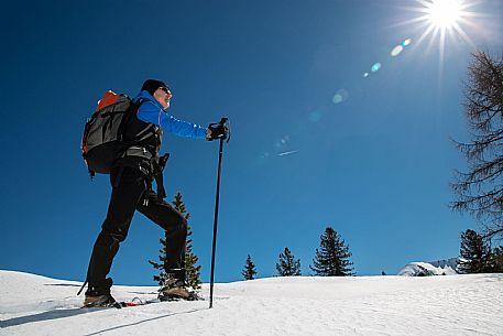 Snowshoenig in FVG