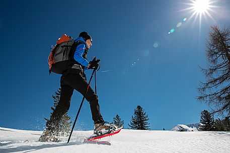 Snowshoenig in FVG