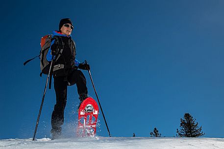 Snowshoenig in FVG