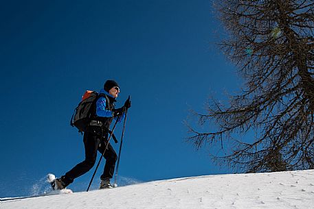 Snowshoenig in FVG