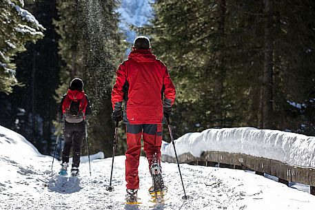 Snowshoenig in FVG