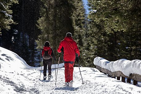 Snowshoenig in FVG