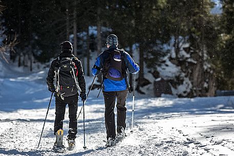 Snowshoenig in FVG