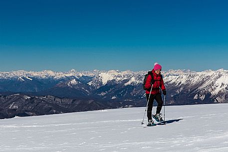 Snowshoenig in FVG