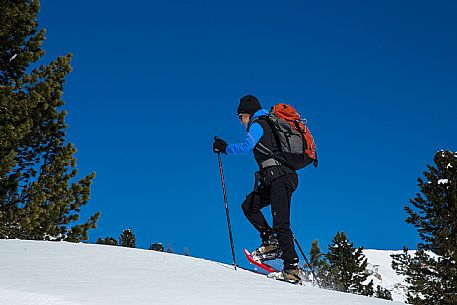 Snowshoenig in FVG