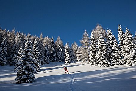 ski mountaineering