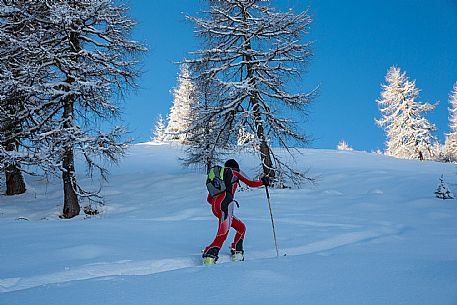 ski mountaineering