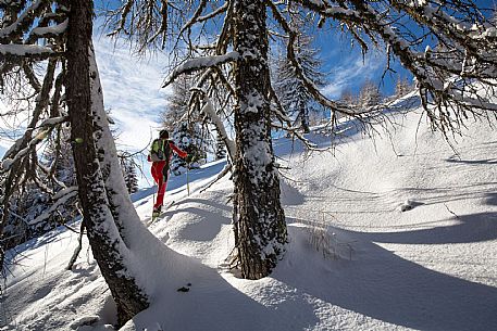 ski mountaineering