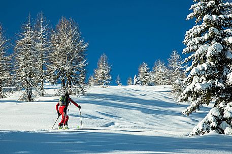 ski mountaineering