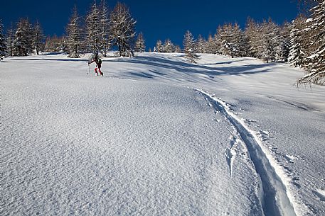 ski mountaineering