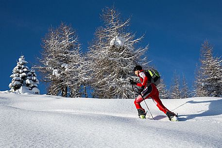 ski mountaineering