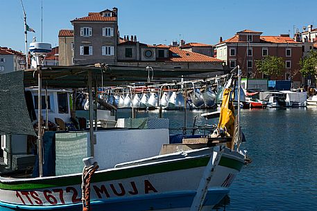 Muggia