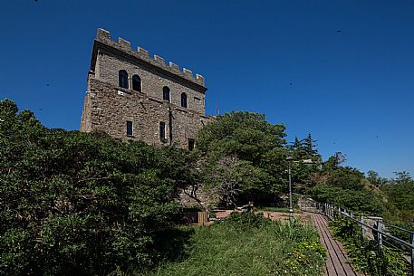 Muggia