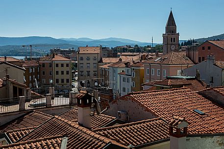 Muggia