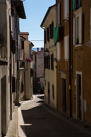 Muggia