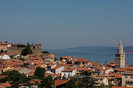 Muggia