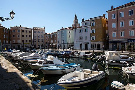 Muggia