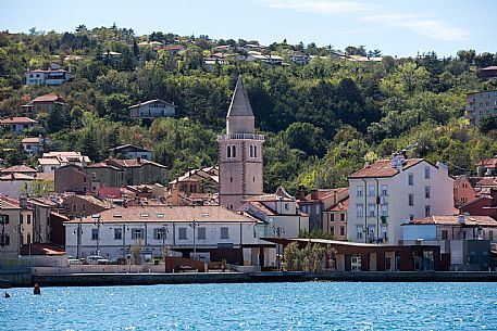 Muggia