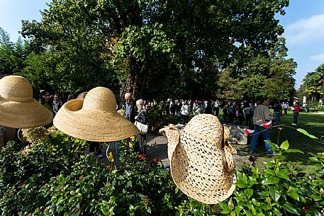 Festa di Strassoldo