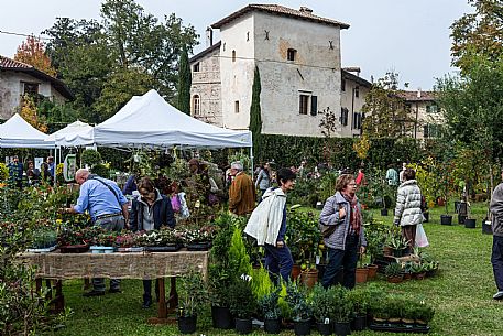 Festa di Strassoldo