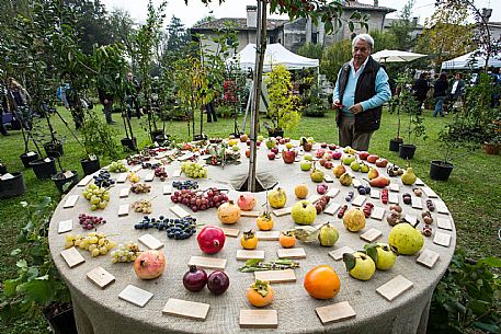 Festa di Strassoldo