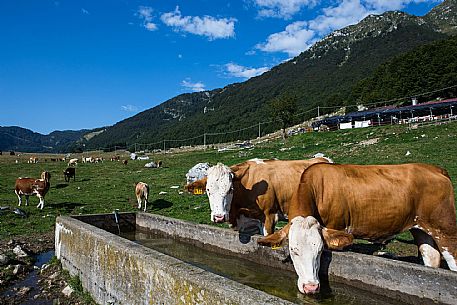 Malga Pian Mazzega