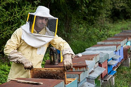 Beekeeper