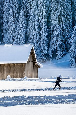 Cross country skiing  in Friuli Venezia Giulia