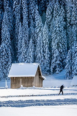 Cross country skiing  in Friuli Venezia Giulia