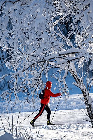 Cross country skiing  in Friuli Venezia Giulia