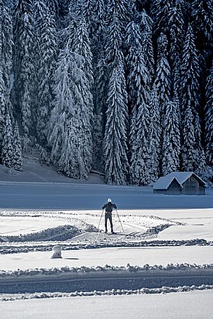 Cross country skiing  in Friuli Venezia Giulia