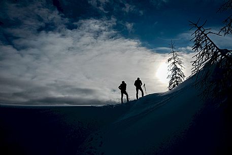 Alpine Skiing in Friuli Venezia Giulia