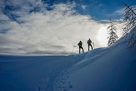 Alpine Skiing in Friuli Venezia Giulia