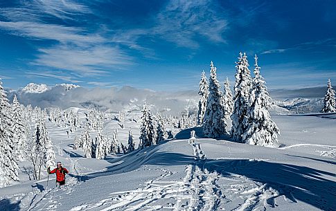 Alpine Skiing in Friuli Venezia Giulia