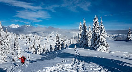 Alpine Skiing in Friuli Venezia Giulia