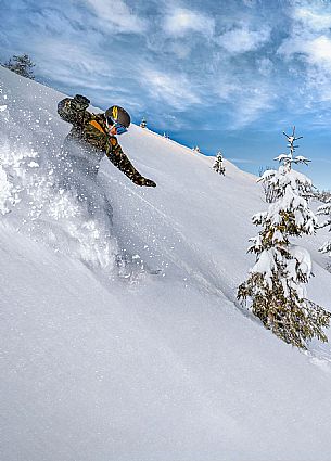 Snowboard in Friuli Venezia Giulia