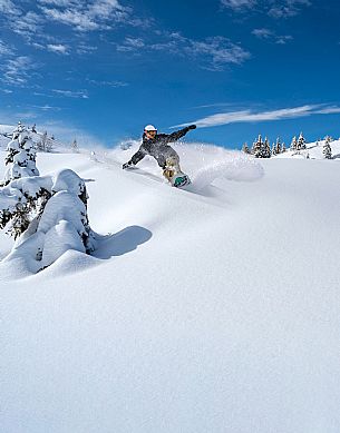 Snowboard in Friuli Venezia Giulia