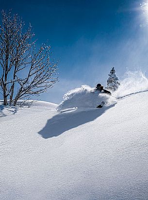 Snowboard in Friuli Venezia Giulia