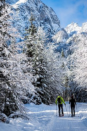 Snowshoeing in Val Saisera