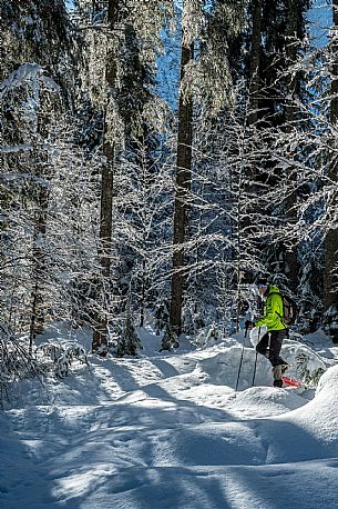 Snowshoeing in Val Saisera