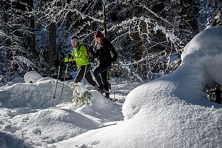 Snowshoeing in Val Saisera