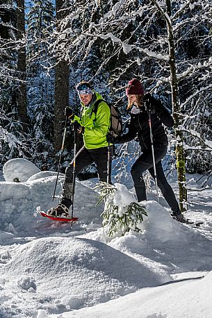 Snowshoeing in Val Saisera