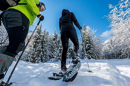 Snowshoeing in Val Saisera