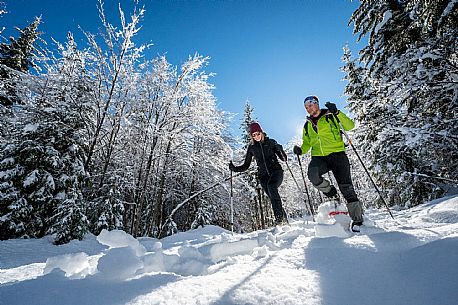 Snowshoeing in Val Saisera